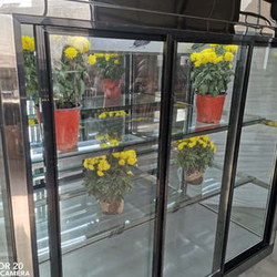 Холодильники для цветов в Столбцах